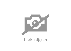 Audi A8 - zobacz ofertę